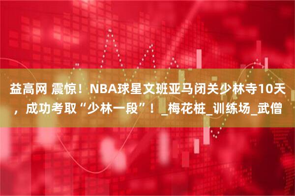 益高网 震惊！NBA球星文班亚马闭关少林寺10天，成功考取“少林一段”！_梅花桩_训练场_武僧