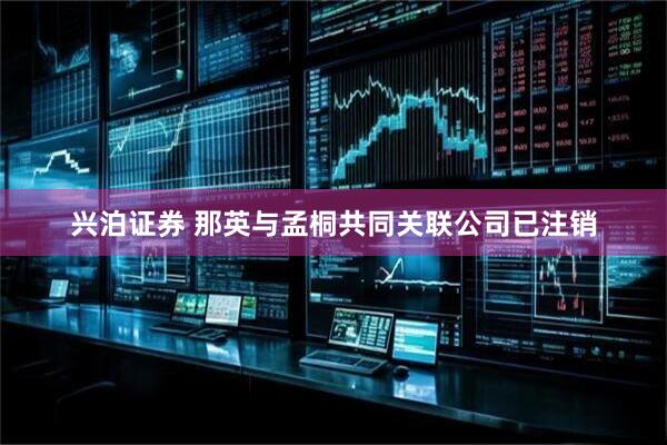 兴泊证券 那英与孟桐共同关联公司已注销