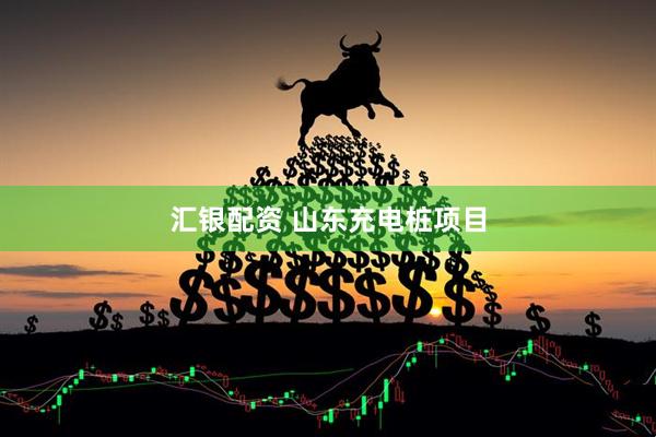 汇银配资 山东充电桩项目